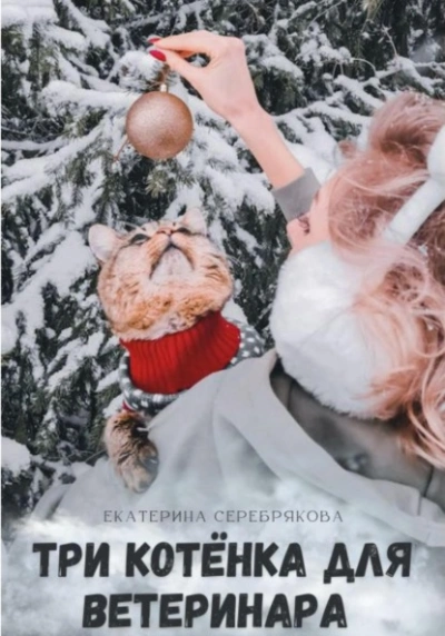 Три котёнка для ветеринара - Екатерина Серебрякова Лучшие аудиокниги онлайн слушать бесплатно➝ Без остановки, полными циклами! ☆Более 100000 новых книг☆ ➝ Присоединяйтесь ✔️ audioknigi-onlain.com