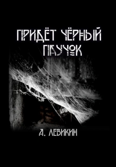 Придёт чёрный паучок - Алексей Левикин Лучшие аудиокниги онлайн слушать бесплатно➝ Без остановки, полными циклами! ☆Более 100000 новых книг☆ ➝ Присоединяйтесь ✔️ audioknigi-onlain.com