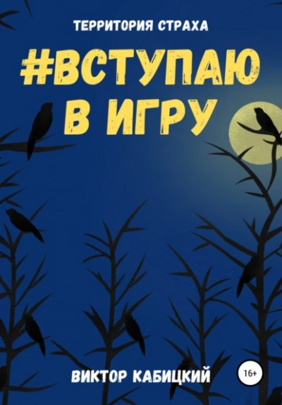 Вступаю в игру - Виктор Кабицкий Лучшие аудиокниги онлайн слушать бесплатно➝ Без остановки, полными циклами! ☆Более 100000 новых книг☆ ➝ Присоединяйтесь ✔️ audioknigi-onlain.com