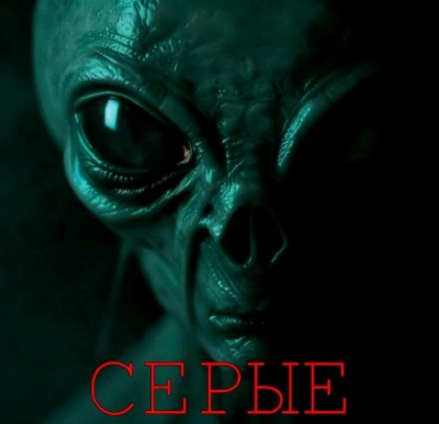 Серые - Алексей Грибанов Лучшие аудиокниги онлайн слушать бесплатно➝ Без остановки, полными циклами! ☆Более 100000 новых книг☆ ➝ Присоединяйтесь ✔️ audioknigi-onlain.com