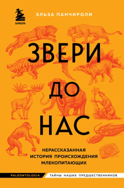Звери до нас. Нерассказанная история происхождения млекопитающих - Эльза Панчироли Лучшие аудиокниги онлайн слушать бесплатно➝ Без остановки, полными циклами! ☆Более 100000 новых книг☆ ➝ Присоединяйтесь ✔️ audioknigi-onlain.com