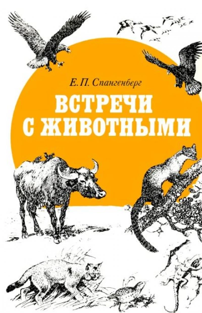 Встречи с животными - Евгений Спангенберг Лучшие аудиокниги онлайн слушать бесплатно➝ Без остановки, полными циклами! ☆Более 100000 новых книг☆ ➝ Присоединяйтесь ✔️ audioknigi-onlain.com