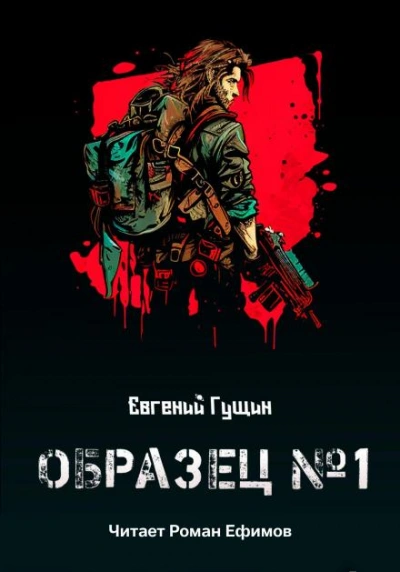 Образец №1 - Евгений Гущин Лучшие аудиокниги онлайн слушать бесплатно➝ Без остановки, полными циклами! ☆Более 100000 новых книг☆ ➝ Присоединяйтесь ✔️ audioknigi-onlain.com