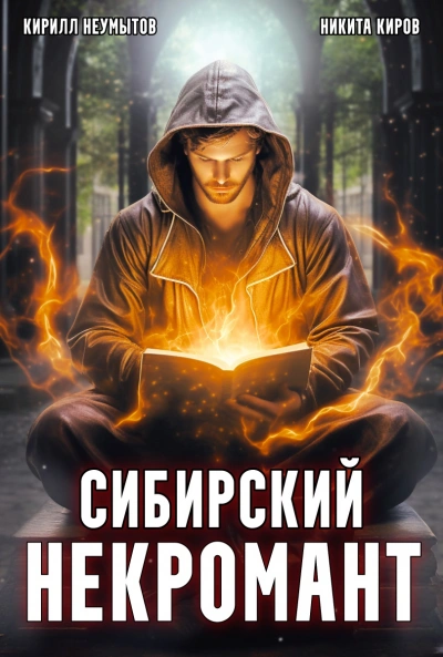 Сибирский некромант - Никита Киров, Кирилл Неумытов Лучшие аудиокниги онлайн слушать бесплатно➝ Без остановки, полными циклами! ☆Более 100000 новых книг☆ ➝ Присоединяйтесь ✔️ audioknigi-onlain.com