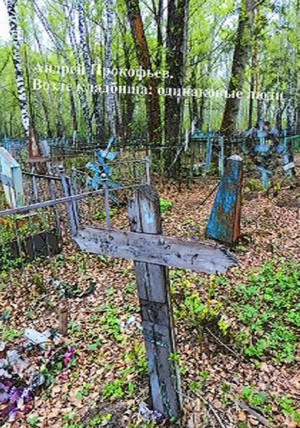 Возле кладбища: одинаковые люди - Андрей Прокофьев Лучшие аудиокниги онлайн слушать бесплатно➝ Без остановки, полными циклами! ☆Более 100000 новых книг☆ ➝ Присоединяйтесь ✔️ audioknigi-onlain.com