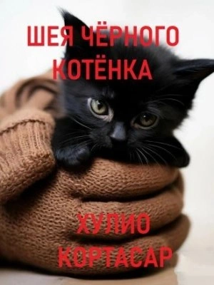 Шея чёрного котёнка - Хулио Кортасар Лучшие аудиокниги онлайн слушать бесплатно➝ Без остановки, полными циклами! ☆Более 100000 новых книг☆ ➝ Присоединяйтесь ✔️ audioknigi-onlain.com