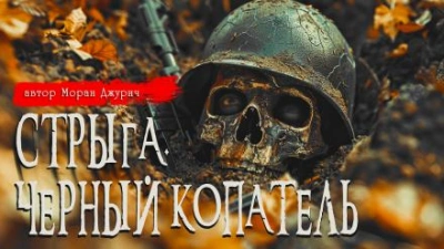 Стрыга. Чёрный копатель - Моран Джурич Лучшие аудиокниги онлайн слушать бесплатно➝ Без остановки, полными циклами! ☆Более 100000 новых книг☆ ➝ Присоединяйтесь ✔️ audioknigi-onlain.com