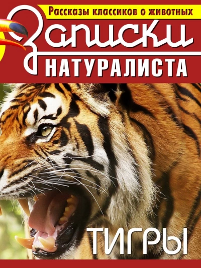 Рассказы классиков о животных. Тигры Лучшие аудиокниги онлайн слушать бесплатно➝ Без остановки, полными циклами! ☆Более 100000 новых книг☆ ➝ Присоединяйтесь ✔️ audioknigi-onlain.com