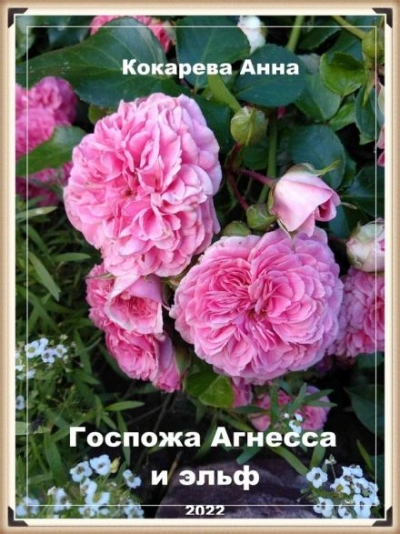 Госпожа Агнесса и эльф - Анна Кокарева Лучшие аудиокниги онлайн слушать бесплатно➝ Без остановки, полными циклами! ☆Более 100000 новых книг☆ ➝ Присоединяйтесь ✔️ audioknigi-onlain.com