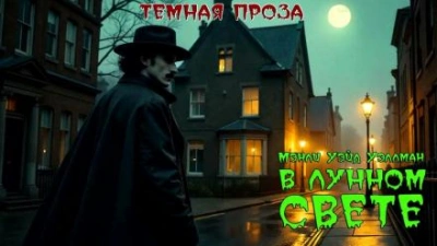 В лунном свете - Мэнли Уэйд Уэллман Лучшие аудиокниги онлайн слушать бесплатно➝ Без остановки, полными циклами! ☆Более 100000 новых книг☆ ➝ Присоединяйтесь ✔️ audioknigi-onlain.com