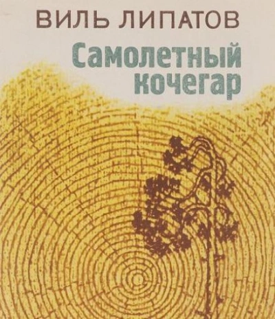 Самолётный кочегар - Виль Липатов Лучшие аудиокниги онлайн слушать бесплатно➝ Без остановки, полными циклами! ☆Более 100000 новых книг☆ ➝ Присоединяйтесь ✔️ audioknigi-onlain.com