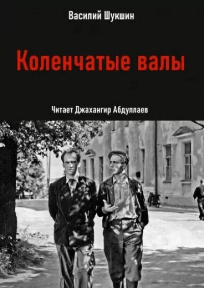 Коленчатые валы - Василий Шукшин Лучшие аудиокниги онлайн слушать бесплатно➝ Без остановки, полными циклами! ☆Более 100000 новых книг☆ ➝ Присоединяйтесь ✔️ audioknigi-onlain.com
