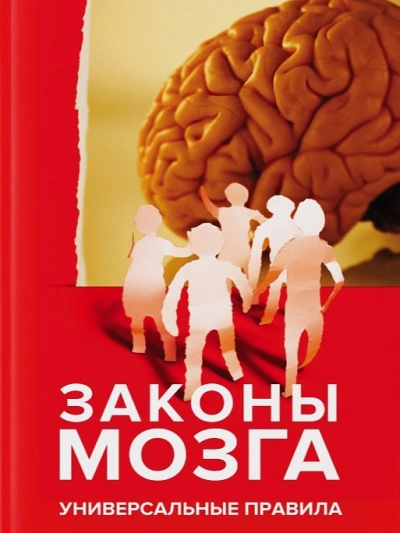 Законы мозга. Универсальные правила - Андрей Курпатов Лучшие аудиокниги онлайн слушать бесплатно➝ Без остановки, полными циклами! ☆Более 100000 новых книг☆ ➝ Присоединяйтесь ✔️ audioknigi-onlain.com