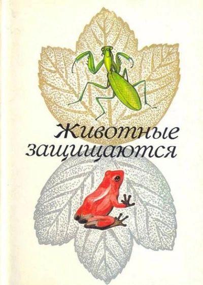 Животные защищаются. Набор открыток - З. Воронцова Лучшие аудиокниги онлайн слушать бесплатно➝ Без остановки, полными циклами! ☆Более 100000 новых книг☆ ➝ Присоединяйтесь ✔️ audioknigi-onlain.com