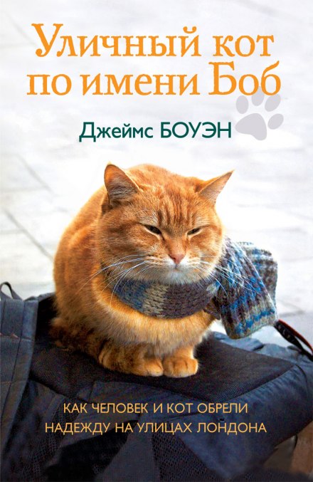Уличный кот по имени Боб - Джеймс Боуэн Лучшие аудиокниги онлайн слушать бесплатно➝ Без остановки, полными циклами! ☆Более 100000 новых книг☆ ➝ Присоединяйтесь ✔️ audioknigi-onlain.com