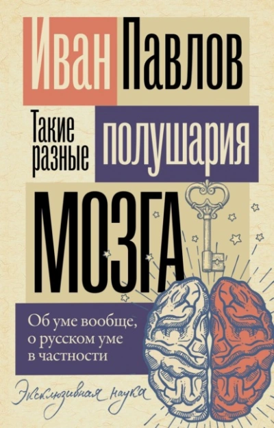 Такие разные полушария мозга. Об уме вообще, о русском уме в частности - Иван Павлов Лучшие аудиокниги онлайн слушать бесплатно➝ Без остановки, полными циклами! ☆Более 100000 новых книг☆ ➝ Присоединяйтесь ✔️ audioknigi-onlain.com