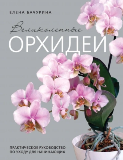 Великолепные орхидеи. Практичное руководство по уходу для начинающих - Елена Бачурина Лучшие аудиокниги онлайн слушать бесплатно➝ Без остановки, полными циклами! ☆Более 100000 новых книг☆ ➝ Присоединяйтесь ✔️ audioknigi-onlain.com