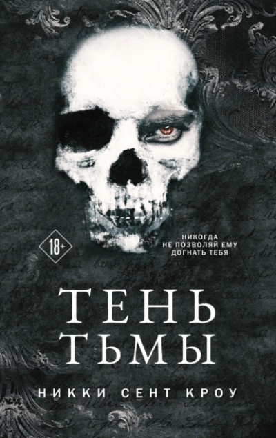 Тень Тьмы - Никки Кроу Лучшие аудиокниги онлайн слушать бесплатно➝ Без остановки, полными циклами! ☆Более 100000 новых книг☆ ➝ Присоединяйтесь ✔️ audioknigi-onlain.com