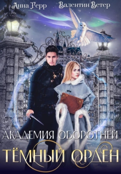 Тёмный орден - Анна Герр, Валентин Ветер Лучшие аудиокниги онлайн слушать бесплатно➝ Без остановки, полными циклами! ☆Более 100000 новых книг☆ ➝ Присоединяйтесь ✔️ audioknigi-onlain.com