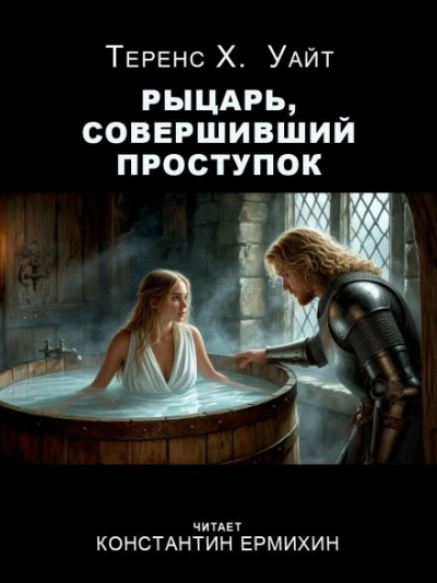 Рыцарь, совершивший проступок - Теренс Хэнбери Уайт Лучшие аудиокниги онлайн слушать бесплатно➝ Без остановки, полными циклами! ☆Более 100000 новых книг☆ ➝ Присоединяйтесь ✔️ audioknigi-onlain.com