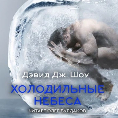 Холодильные небеса - Дэвид Дж. Шоу Лучшие аудиокниги онлайн слушать бесплатно➝ Без остановки, полными циклами! ☆Более 100000 новых книг☆ ➝ Присоединяйтесь ✔️ audioknigi-onlain.com