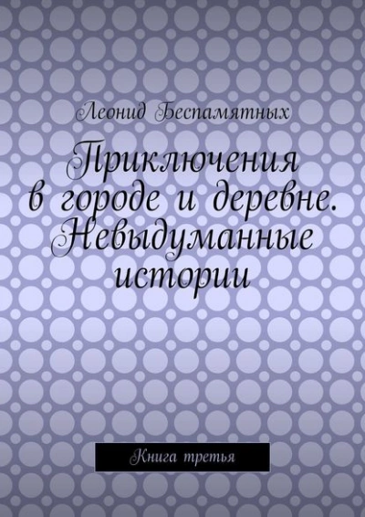 Приключения в городе и деревне. Невыдуманные истории - Леонид Беспамятных Лучшие аудиокниги онлайн слушать бесплатно➝ Без остановки, полными циклами! ☆Более 100000 новых книг☆ ➝ Присоединяйтесь ✔️ audioknigi-onlain.com