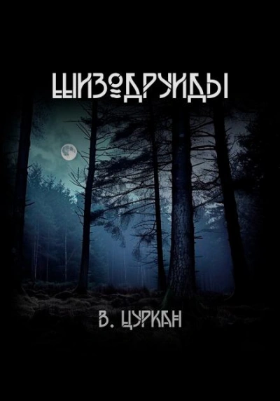Шизодруиды - Валерий Цуркан Лучшие аудиокниги онлайн слушать бесплатно➝ Без остановки, полными циклами! ☆Более 100000 новых книг☆ ➝ Присоединяйтесь ✔️ audioknigi-onlain.com
