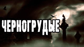 Черногрудые - Лин Яровой Лучшие аудиокниги онлайн слушать бесплатно➝ Без остановки, полными циклами! ☆Более 100000 новых книг☆ ➝ Присоединяйтесь ✔️ audioknigi-onlain.com