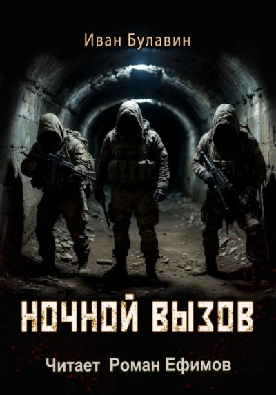Ночной вызов - Иван Булавин Лучшие аудиокниги онлайн слушать бесплатно➝ Без остановки, полными циклами! ☆Более 100000 новых книг☆ ➝ Присоединяйтесь ✔️ audioknigi-onlain.com