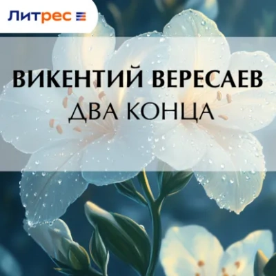 Два конца - Викентий Вересаев Лучшие аудиокниги онлайн слушать бесплатно➝ Без остановки, полными циклами! ☆Более 100000 новых книг☆ ➝ Присоединяйтесь ✔️ audioknigi-onlain.com