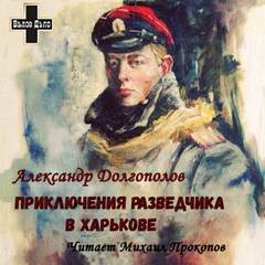Приключения разведчика в Харькове. Рассказы - Александр Долгополов Лучшие аудиокниги онлайн слушать бесплатно➝ Без остановки, полными циклами! ☆Более 100000 новых книг☆ ➝ Присоединяйтесь ✔️ audioknigi-onlain.com