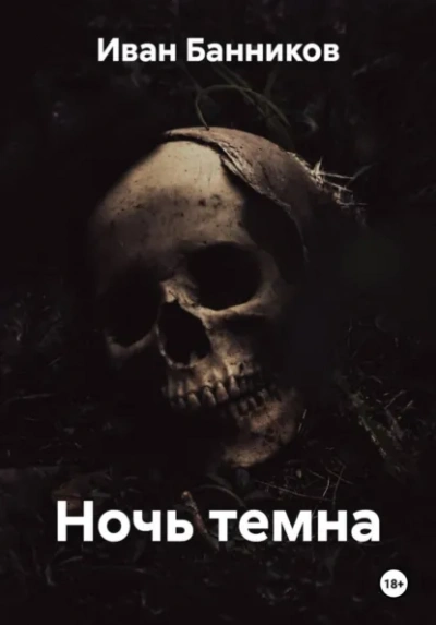 Ночь темна - Иван Банников Лучшие аудиокниги онлайн слушать бесплатно➝ Без остановки, полными циклами! ☆Более 100000 новых книг☆ ➝ Присоединяйтесь ✔️ audioknigi-onlain.com