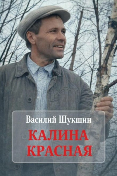 Калина красная - Василий Шукшин Лучшие аудиокниги онлайн слушать бесплатно➝ Без остановки, полными циклами! ☆Более 100000 новых книг☆ ➝ Присоединяйтесь ✔️ audioknigi-onlain.com