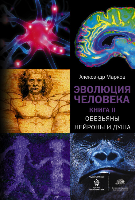 Обезьяны, нейроны и душа - Александр Марков Лучшие аудиокниги онлайн слушать бесплатно➝ Без остановки, полными циклами! ☆Более 100000 новых книг☆ ➝ Присоединяйтесь ✔️ audioknigi-onlain.com