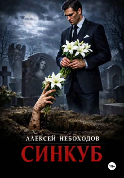 Синкуб - Алексей Небоходов Лучшие аудиокниги онлайн слушать бесплатно➝ Без остановки, полными циклами! ☆Более 100000 новых книг☆ ➝ Присоединяйтесь ✔️ audioknigi-onlain.com