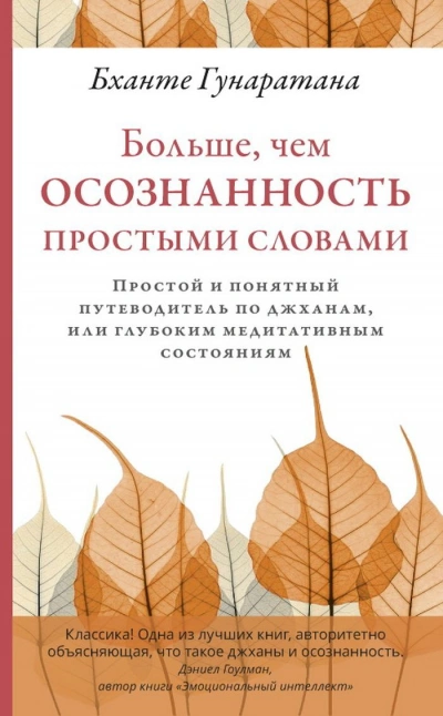 Больше, чем осознанность простыми словами. Простой и понятный путеводитель по джханам, или глубоким - Бханте Хенепола Гунаратана Лучшие аудиокниги онлайн слушать бесплатно➝ Без остановки, полными циклами! ☆Более 100000 новых книг☆ ➝ Присоединяйтесь ✔️ audioknigi-onlain.com