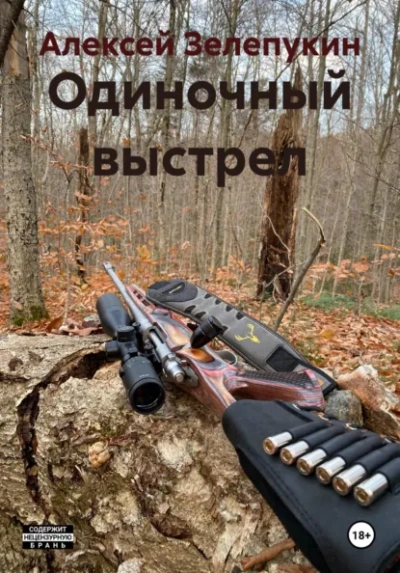 Одиночный выстрел - Алексей Зелепукин Лучшие аудиокниги онлайн слушать бесплатно➝ Без остановки, полными циклами! ☆Более 100000 новых книг☆ ➝ Присоединяйтесь ✔️ audioknigi-onlain.com