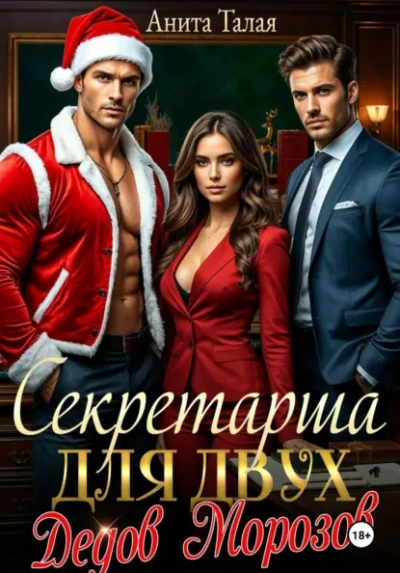 Секретарша для двух Дедов Морозов - Анита Талая Лучшие аудиокниги онлайн слушать бесплатно➝ Без остановки, полными циклами! ☆Более 100000 новых книг☆ ➝ Присоединяйтесь ✔️ audioknigi-onlain.com