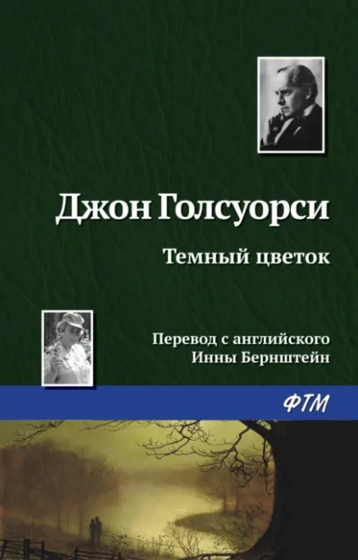 Темный Цветок - Джон Голсуорси Лучшие аудиокниги онлайн слушать бесплатно➝ Без остановки, полными циклами! ☆Более 100000 новых книг☆ ➝ Присоединяйтесь ✔️ audioknigi-onlain.com