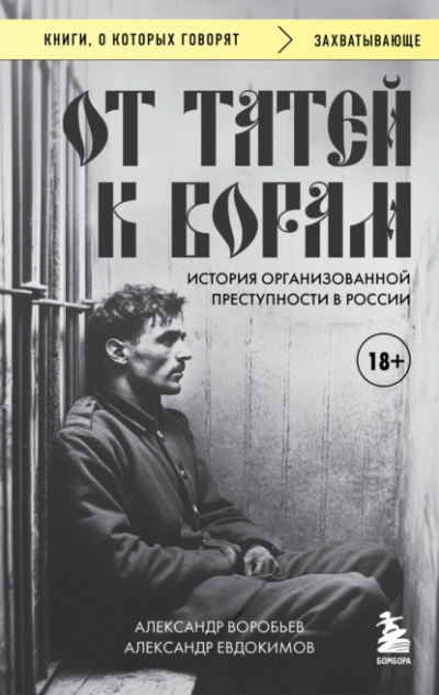 От татей к ворам. История организованной преступности в России - Александр Воробьев, Александр Евдокимов Лучшие аудиокниги онлайн слушать бесплатно➝ Без остановки, полными циклами! ☆Более 100000 новых книг☆ ➝ Присоединяйтесь ✔️ audioknigi-onlain.com
