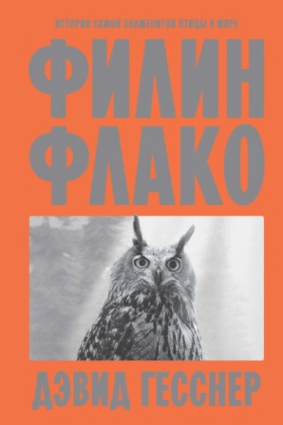 Филин Флако. История самой знаменитой птицы в мире - Дэвид Гесснер Лучшие аудиокниги онлайн слушать бесплатно➝ Без остановки, полными циклами! ☆Более 100000 новых книг☆ ➝ Присоединяйтесь ✔️ audioknigi-onlain.com