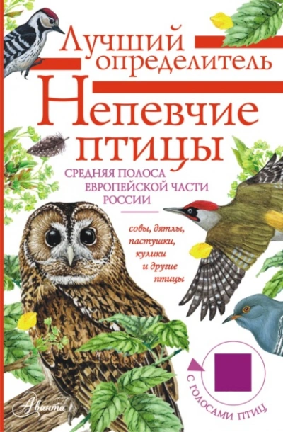 Непевчие птицы. Средняя полоса европейской части России. Определитель с голосами птиц - Архипов Владимир Лучшие аудиокниги онлайн слушать бесплатно➝ Без остановки, полными циклами! ☆Более 100000 новых книг☆ ➝ Присоединяйтесь ✔️ audioknigi-onlain.com