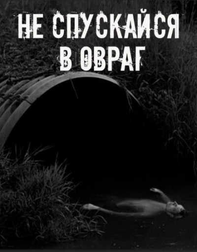 Не спускайся в овраг Лучшие аудиокниги онлайн слушать бесплатно➝ Без остановки, полными циклами! ☆Более 100000 новых книг☆ ➝ Присоединяйтесь ✔️ audioknigi-onlain.com