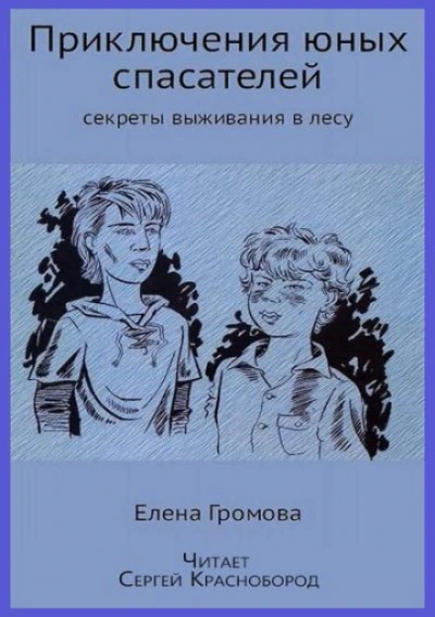 Приключения юных спасателей - Громова Елена Лучшие аудиокниги онлайн слушать бесплатно➝ Без остановки, полными циклами! ☆Более 100000 новых книг☆ ➝ Присоединяйтесь ✔️ audioknigi-onlain.com