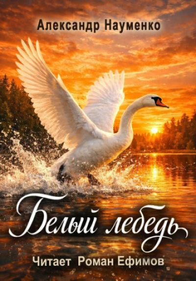 Белый лебедь - Науменко Александр Лучшие аудиокниги онлайн слушать бесплатно➝ Без остановки, полными циклами! ☆Более 100000 новых книг☆ ➝ Присоединяйтесь ✔️ audioknigi-onlain.com