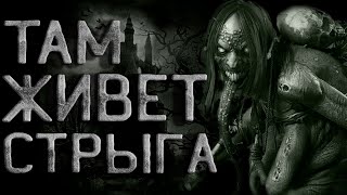 Там живет Стрыга -  SMS Лучшие аудиокниги онлайн слушать бесплатно➝ Без остановки, полными циклами! ☆Более 100000 новых книг☆ ➝ Присоединяйтесь ✔️ audioknigi-onlain.com