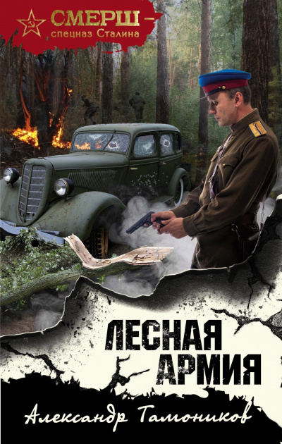 Лесная армия - Александр Тамоников Лучшие аудиокниги онлайн слушать бесплатно➝ Без остановки, полными циклами! ☆Более 100000 новых книг☆ ➝ Присоединяйтесь ✔️ audioknigi-onlain.com