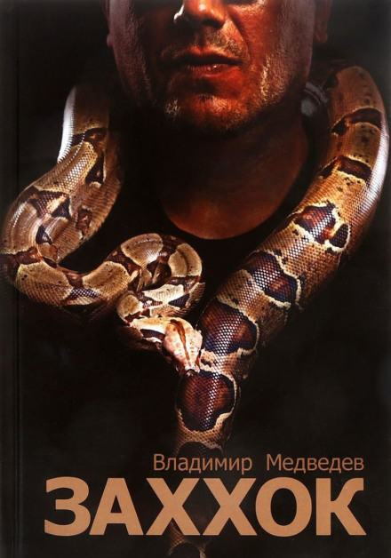 Заххок - Владимир Медведев Лучшие аудиокниги онлайн слушать бесплатно➝ Без остановки, полными циклами! ☆Более 100000 новых книг☆ ➝ Присоединяйтесь ✔️ audioknigi-onlain.com