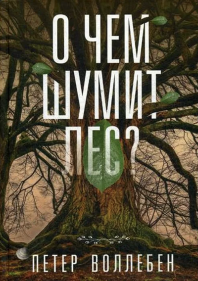О чём шумит лес? - Петер Воллебен Лучшие аудиокниги онлайн слушать бесплатно➝ Без остановки, полными циклами! ☆Более 100000 новых книг☆ ➝ Присоединяйтесь ✔️ audioknigi-onlain.com