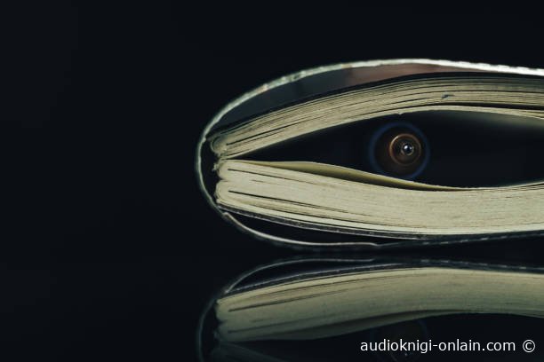 слушать книги онлайн бесплатно без остановки на сайте audioknigi-onlain.com